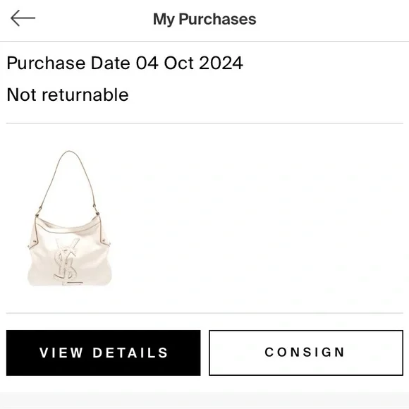 Authentic YSL Bag - Picture 16 of 16